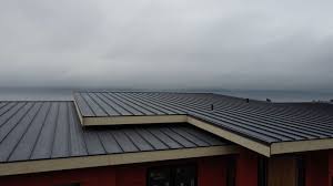 Best Green or Eco-Friendly Roofing Solutions  in Boiling Springs, NC